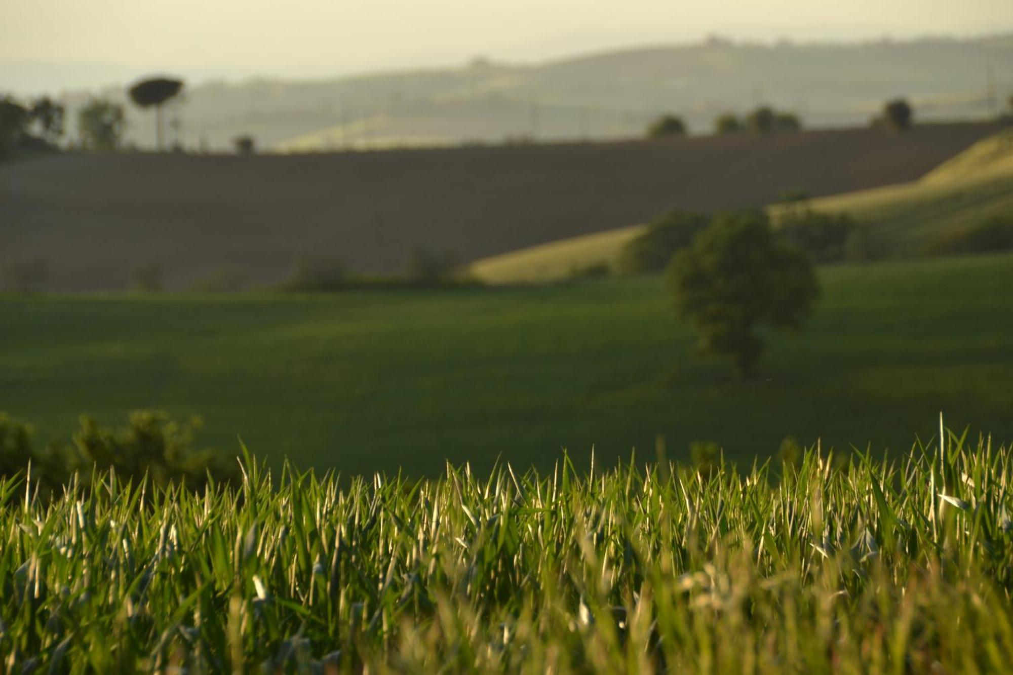 Agriturismo La Casetta Del Sole Villastrada  Exteriér fotografie