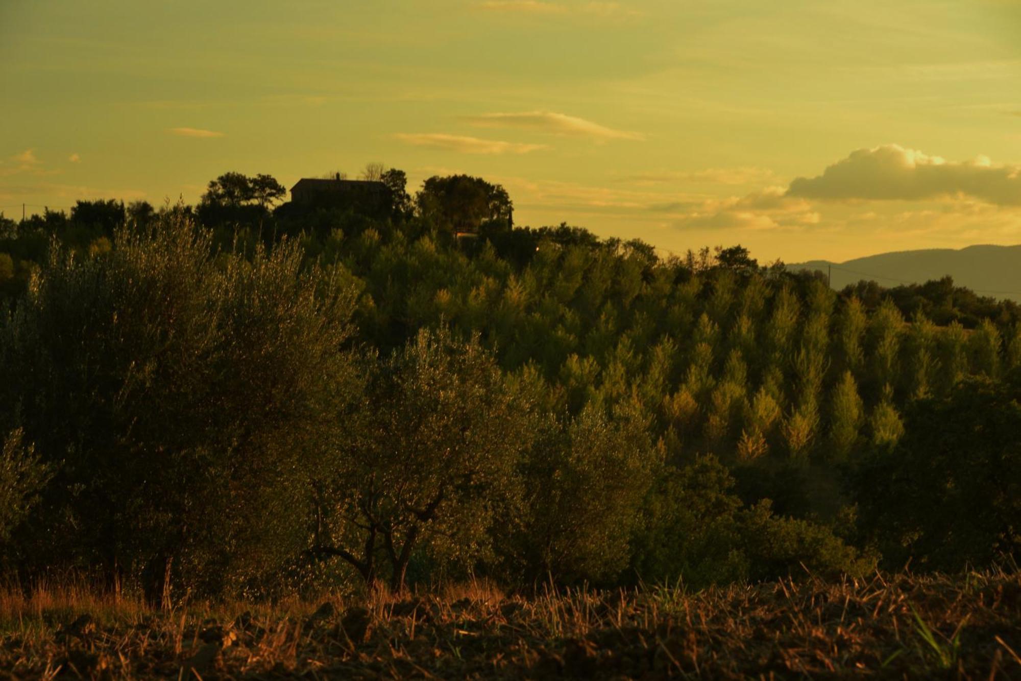 Agriturismo La Casetta Del Sole Villastrada  Exteriér fotografie