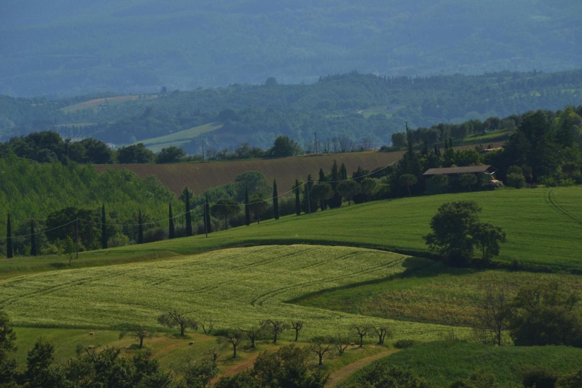 Agriturismo La Casetta Del Sole Villastrada  Exteriér fotografie